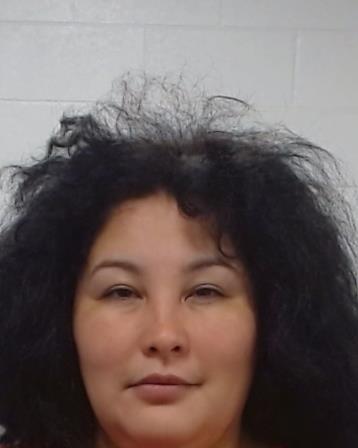 Lopez, Ruby Ann arrest record in Collin County, Texas Lopez, Ruby Ann arrested in Collin County, Texas mugshot