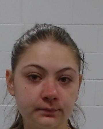 Sheets, Madelyn Rose arrest record in Collin County, Texas Sheets, Madelyn Rose arrested in Collin County, Texas mugshot