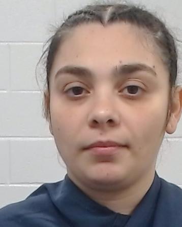 Adam, Rozalia arrest record in Collin County, Texas Adam, Rozalia arrested in Collin County, Texas mugshot