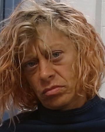 Beck, Brandy Diane arrest record in Collin County, Texas Beck, Brandy Diane arrested in Collin County, Texas mugshot