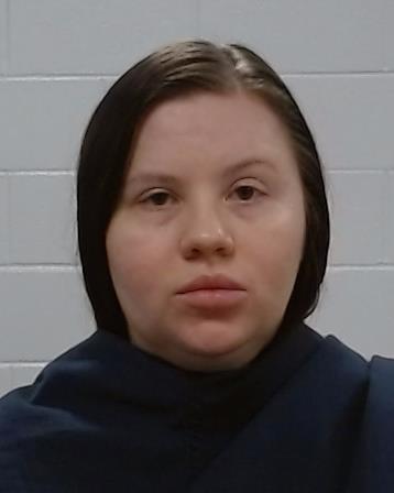 Norenberg, Nicole Marie arrest record in Collin County, Texas Norenberg, Nicole Marie arrested in Collin County, Texas mugshot