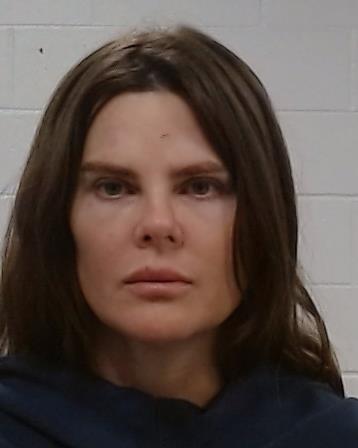 Leary, Megan arrest record in Collin County, Texas Leary, Megan arrested in Collin County, Texas mugshot