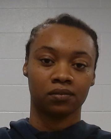 James Wrightington, Camryn arrest record in Collin County, Texas James Wrightington, Camryn arrested in Collin County, Texas mugshot