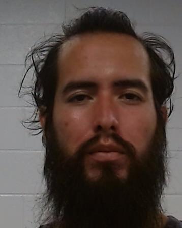 Cecena-Castillo, Ryan Yahir arrest record in Collin County, Texas Cecena-Castillo, Ryan Yahir arrested in Collin County, Texas mugshot