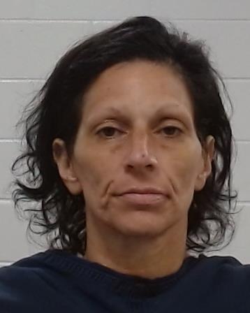 Kosanke, Mindy Ann arrest record in Collin County, Texas Kosanke, Mindy Ann arrested in Collin County, Texas mugshot