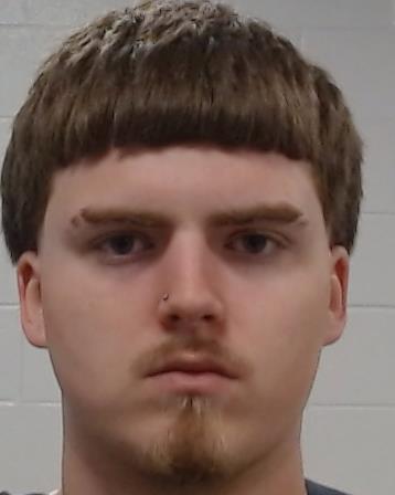 Gonzales, Victor Seth arrest record in Collin County, Texas Gonzales, Victor Seth arrested in Collin County, Texas mugshot