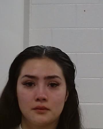 Hernandez, Denise arrest record in Collin County, Texas Hernandez, Denise arrested in Collin County, Texas mugshot