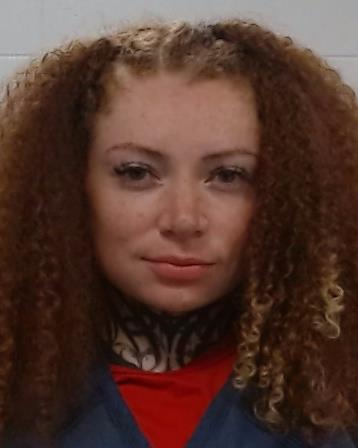 Dotson, Acacia Breann Monique arrest record in Collin County, Texas Dotson, Acacia Breann Monique arrested in Collin County, Texas mugshot