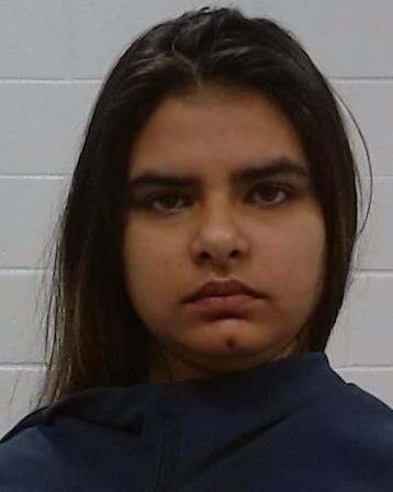 Mitha, Reeya arrest record in Collin County, Texas Mitha, Reeya arrested in Collin County, Texas mugshot