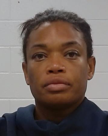 Robinson, Ashley Andrea arrest record in Collin County, Texas Robinson, Ashley Andrea arrested in Collin County, Texas mugshot