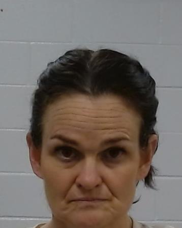 James, Lacey Ann arrest record in Collin County, Texas James, Lacey Ann arrested in Collin County, Texas mugshot