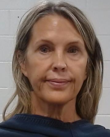 Hood, Mary Shannon arrest record in Collin County, Texas Hood, Mary Shannon arrested in Collin County, Texas mugshot