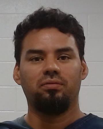 Zelaya Jr, Bernardo Antonio arrest record in Collin County, Texas Zelaya Jr, Bernardo Antonio arrested in Collin County, Texas mugshot
