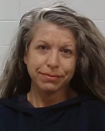 Brainerd, Jennifer Leigh arrest record in Collin County, Texas Brainerd, Jennifer Leigh arrested in Collin County, Texas mugshot