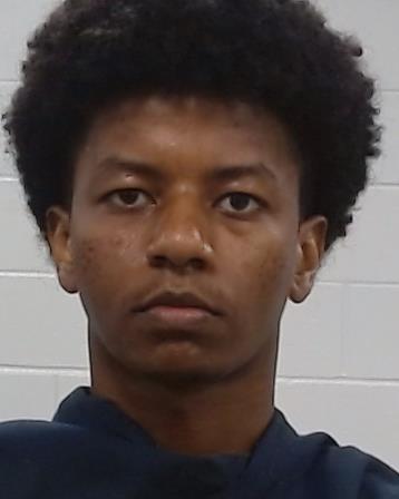 Bekele, Brook Bishaw arrest record in Collin County, Texas Bekele, Brook Bishaw arrested in Collin County, Texas mugshot