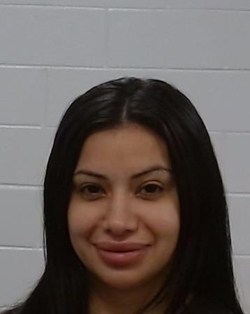 OLMOS, NELLIE LILLIANNA arrest record in Collin County, Texas OLMOS, NELLIE LILLIANNA arrested in Collin County, Texas mugshot