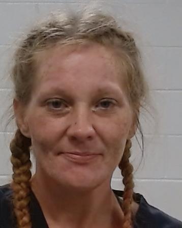 Lurvey, Kuestin arrest record in Collin County, Texas Lurvey, Kuestin arrested in Collin County, Texas mugshot