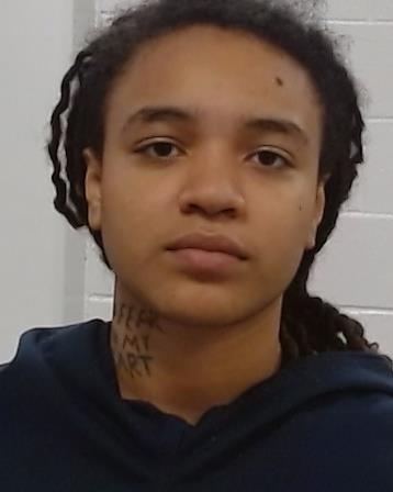 Palmer, Ca'Mya arrest record in Collin County, Texas Palmer, Ca'Mya arrested in Collin County, Texas mugshot