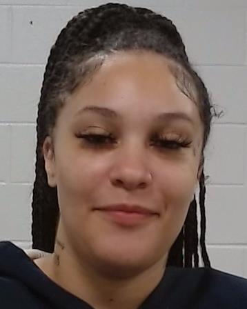 Hamilton, Ashley Renee arrest record in Collin County, Texas Hamilton, Ashley Renee arrested in Collin County, Texas mugshot