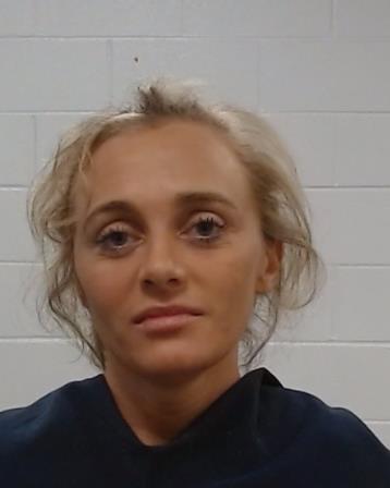 Sarkisian, Robin Kiersten arrest record in Collin County, Texas Sarkisian, Robin Kiersten arrested in Collin County, Texas mugshot