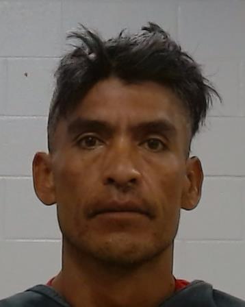 GARCIA-GRIMALDO, LUIS ANGEL arrest record in Collin County, Texas GARCIA-GRIMALDO, LUIS ANGEL arrested in Collin County, Texas mugshot
