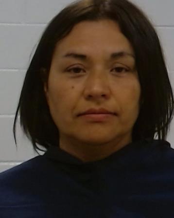 Pesina, Flor arrest record in Collin County, Texas Pesina, Flor arrested in Collin County, Texas mugshot