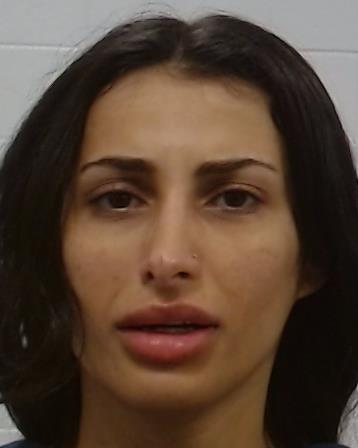 ROUDIK, ABDULJALEEL arrest record in Collin County, Texas ROUDIK, ABDULJALEEL arrested in Collin County, Texas mugshot