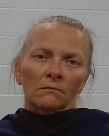 Meador, Candace Michelle arrest record in Collin County, Texas Meador, Candace Michelle arrested in Collin County, Texas mugshot
