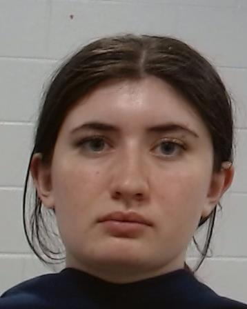 Davis, Annabelle Marie arrest record in Collin County, Texas Davis, Annabelle Marie arrested in Collin County, Texas mugshot