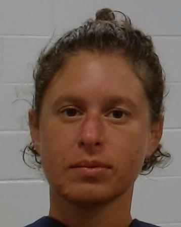 Gian, Stephanie Renee arrest record in Collin County, Texas Gian, Stephanie Renee arrested in Collin County, Texas mugshot