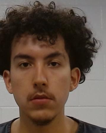 Hernandez, Favian Lionel arrest record in Collin County, Texas Hernandez, Favian Lionel arrested in Collin County, Texas mugshot