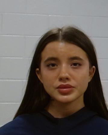 Seviane, Lexi Grace arrest record in Collin County, Texas Seviane, Lexi Grace arrested in Collin County, Texas mugshot