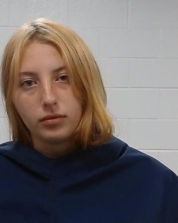 Bausman, Rebecca Emily arrest record in Collin County, Texas Bausman, Rebecca Emily arrested in Collin County, Texas mugshot
