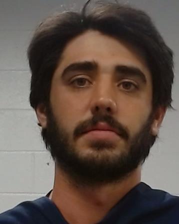 Webb, Ryder arrest record in Collin County, Texas Webb, Ryder arrested in Collin County, Texas mugshot