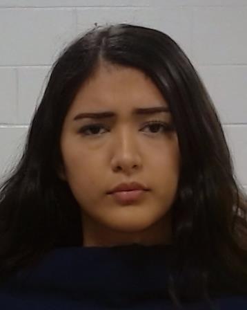 Lichuck, Kamila V arrest record in Collin County, Texas Lichuck, Kamila V arrested in Collin County, Texas mugshot
