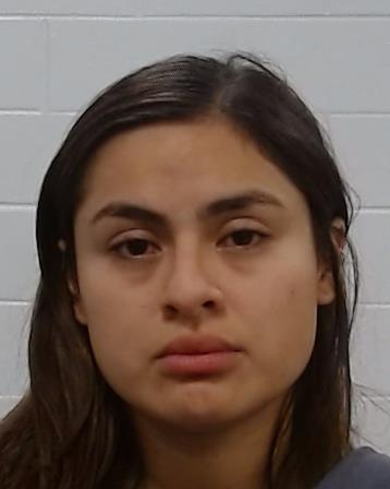 Gonzalez, Tanya arrest record in Collin County, Texas Gonzalez, Tanya arrested in Collin County, Texas mugshot