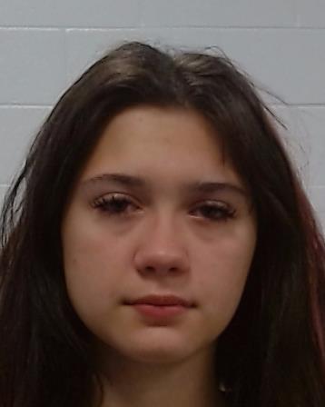 Ponce, Teigan Lynn arrest record in Collin County, Texas Ponce, Teigan Lynn arrested in Collin County, Texas mugshot