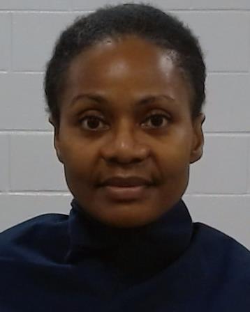 Johnson-Matsumoto, Rose Marie arrest record in Collin County, Texas Johnson-Matsumoto, Rose Marie arrested in Collin County, Texas mugshot