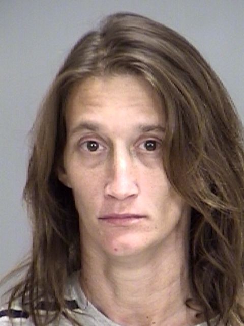 GREEN, MELODY arrest record in Brazos County, Texas GREEN, MELODY arrested in Brazos County, Texas mugshot