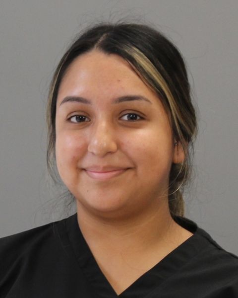 PINEDA, CECILLA arrest record in Brazos County, Texas PINEDA, CECILLA arrested in Brazos County, Texas mugshot