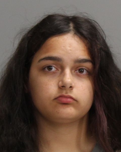 WILLIAMS, KAYLIE ANN arrest record in Brazos County, Texas WILLIAMS, KAYLIE ANN arrested in Brazos County, Texas mugshot
