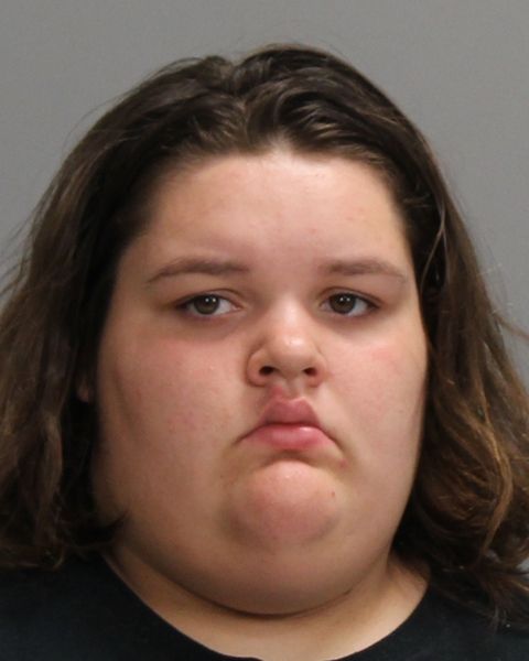 Norwood, Haylee Renea Dawn arrest record in Brazos County, Texas Norwood, Haylee Renea Dawn arrested in Brazos County, Texas mugshot