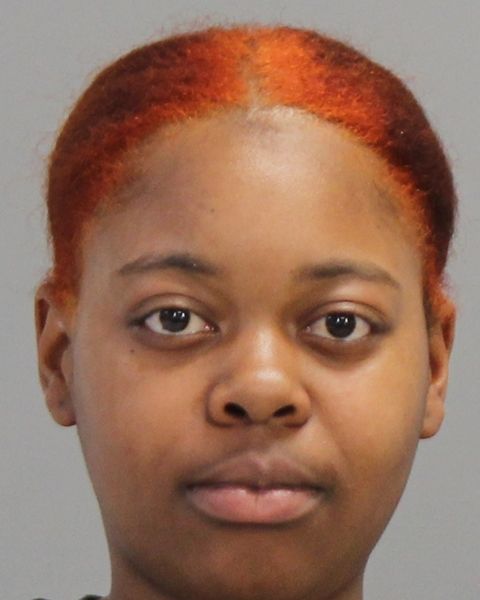 FLEMINGS, JANIJAH RENE arrest record in Brazos County, Texas FLEMINGS, JANIJAH RENE arrested in Brazos County, Texas mugshot