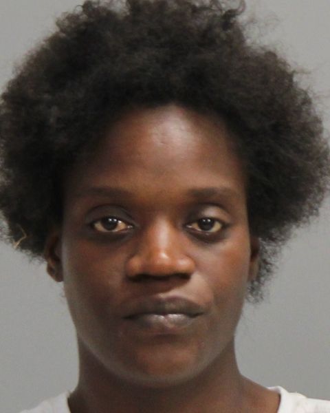 WHEELER, DAVIDA RODESHA arrest record in Brazos County, Texas WHEELER, DAVIDA RODESHA arrested in Brazos County, Texas mugshot