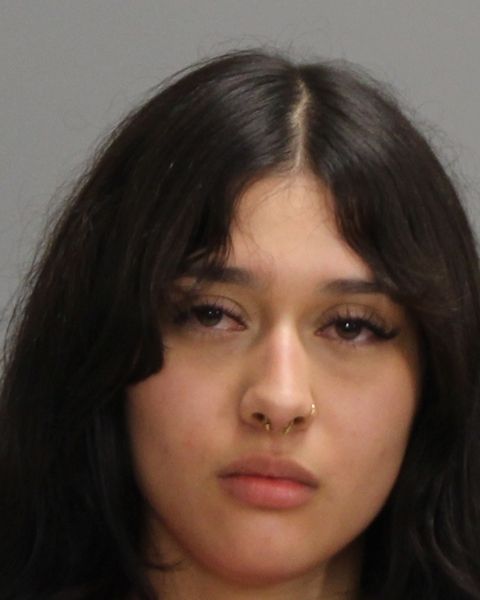 RODARTE, SANAYA SINAI arrest record in Brazos County, Texas RODARTE, SANAYA SINAI arrested in Brazos County, Texas mugshot