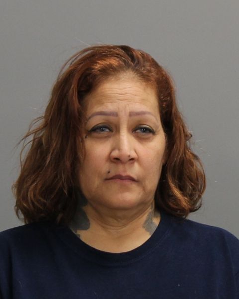 BLANCO, MARINELA arrest record in Brazos County, Texas BLANCO, MARINELA arrested in Brazos County, Texas mugshot