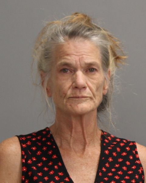 YANKOWSKI, DEBORAH BERRY arrest record in Brazos County, Texas YANKOWSKI, DEBORAH BERRY arrested in Brazos County, Texas mugshot