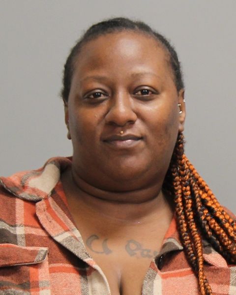 HORNES, SHAUNYELLE MONIQUE arrest record in Brazos County, Texas HORNES, SHAUNYELLE MONIQUE arrested in Brazos County, Texas mugshot