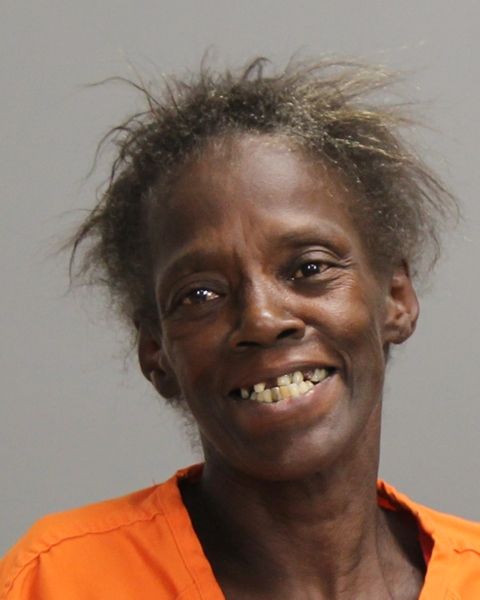 HALL, CHARLOTTE DENICE arrest record in Brazos County, Texas HALL, CHARLOTTE DENICE arrested in Brazos County, Texas mugshot