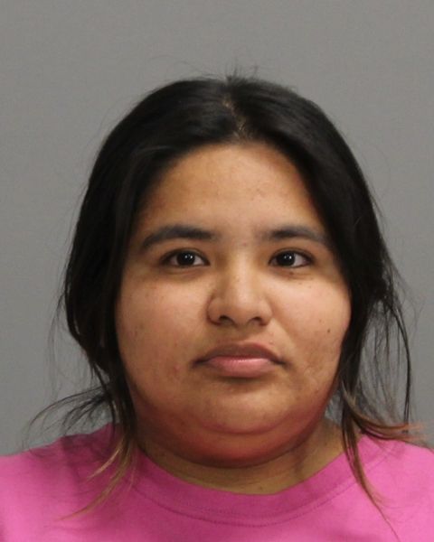 ARENAS, ANAHI RANGEL arrest record in Brazos County, Texas ARENAS, ANAHI RANGEL arrested in Brazos County, Texas mugshot